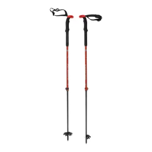 Atomic HPT Ski Poles