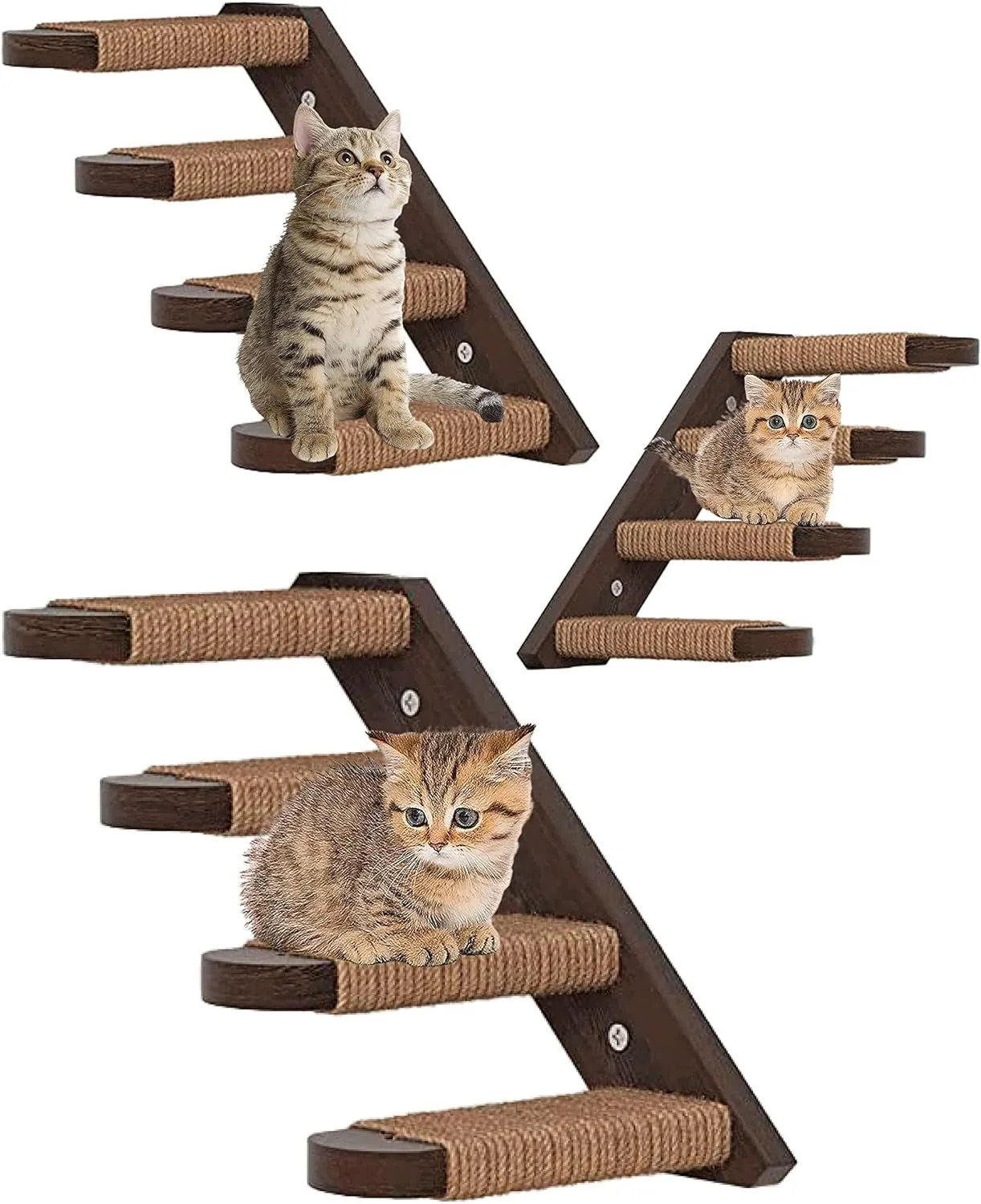 Cat Wall Steps
