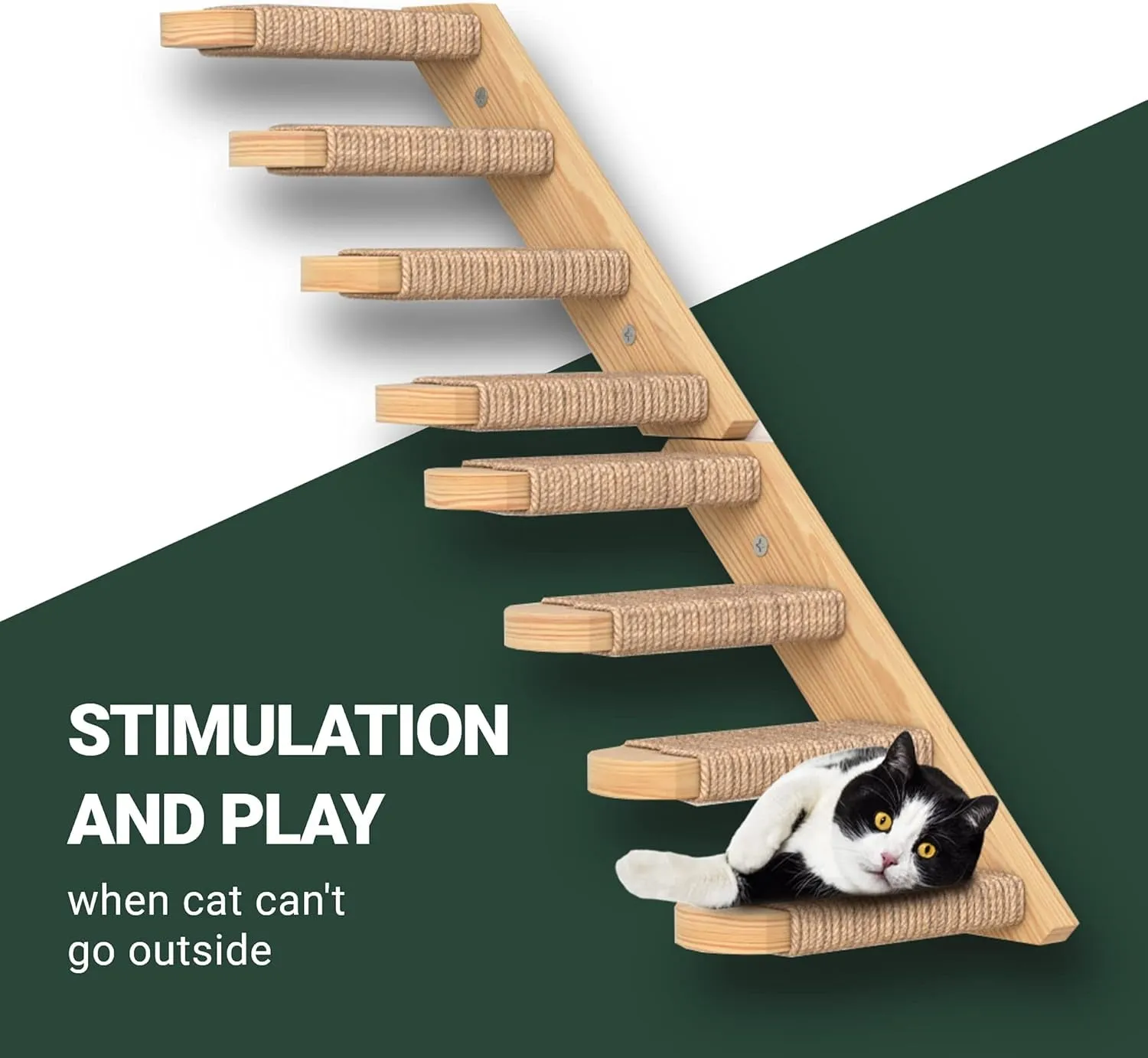 Cat Wall Steps