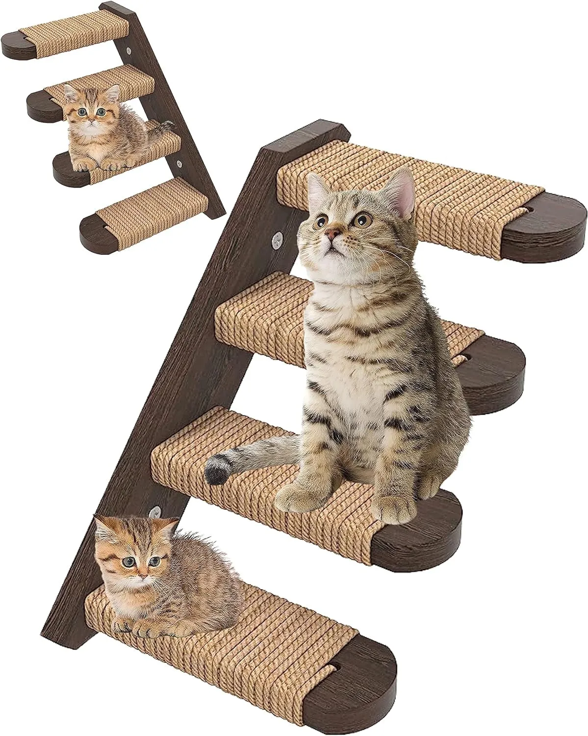 Cat Wall Steps