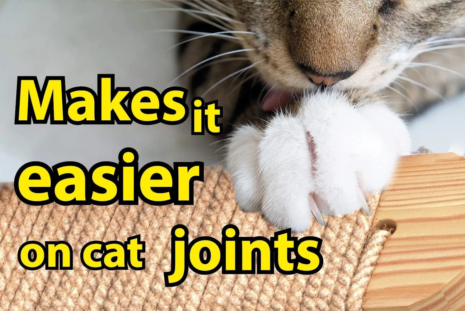 Cat Wall Steps