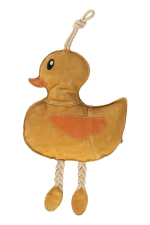 Horse Toy Duck