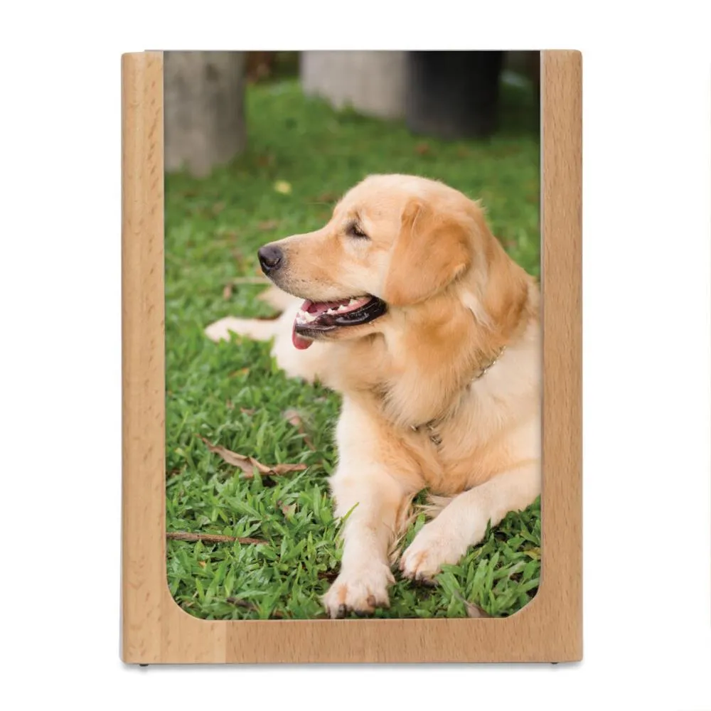 Kikkerland Picture Frame Pencil Cup, Medium