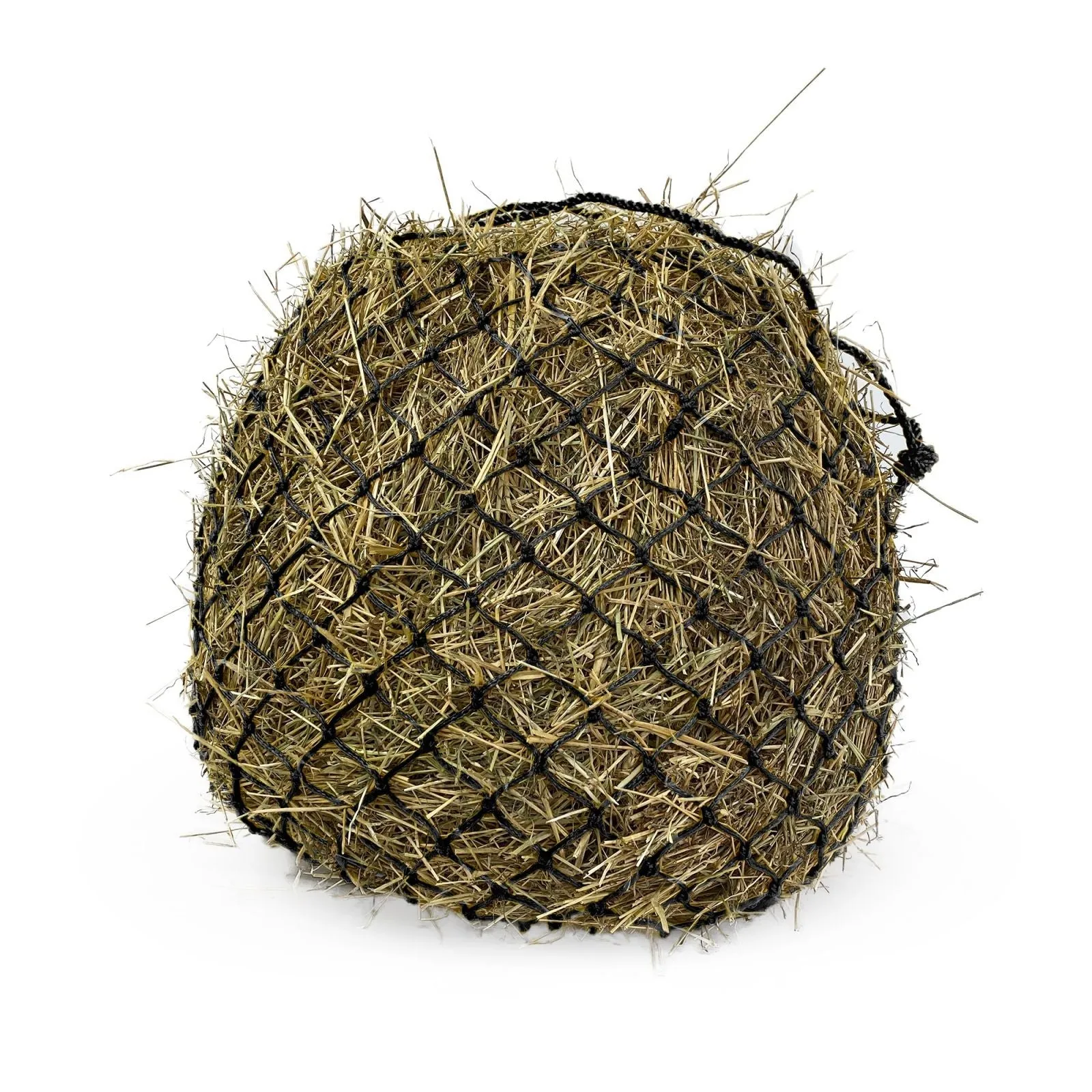 KM Delux Haynet