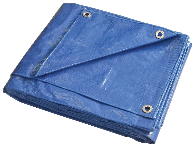 ProSource T2030BB90 Tarpaulin, 30 ft L, 20 ft W, 5 mil Thick, Polyethylene, Blue :EA: QUANTITY: 1