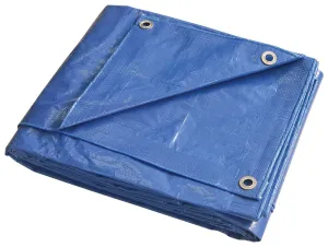 ProSource T2030BB90 Tarpaulin, 30 ft L, 20 ft W, 5 mil Thick, Polyethylene, Blue :EA: QUANTITY: 1